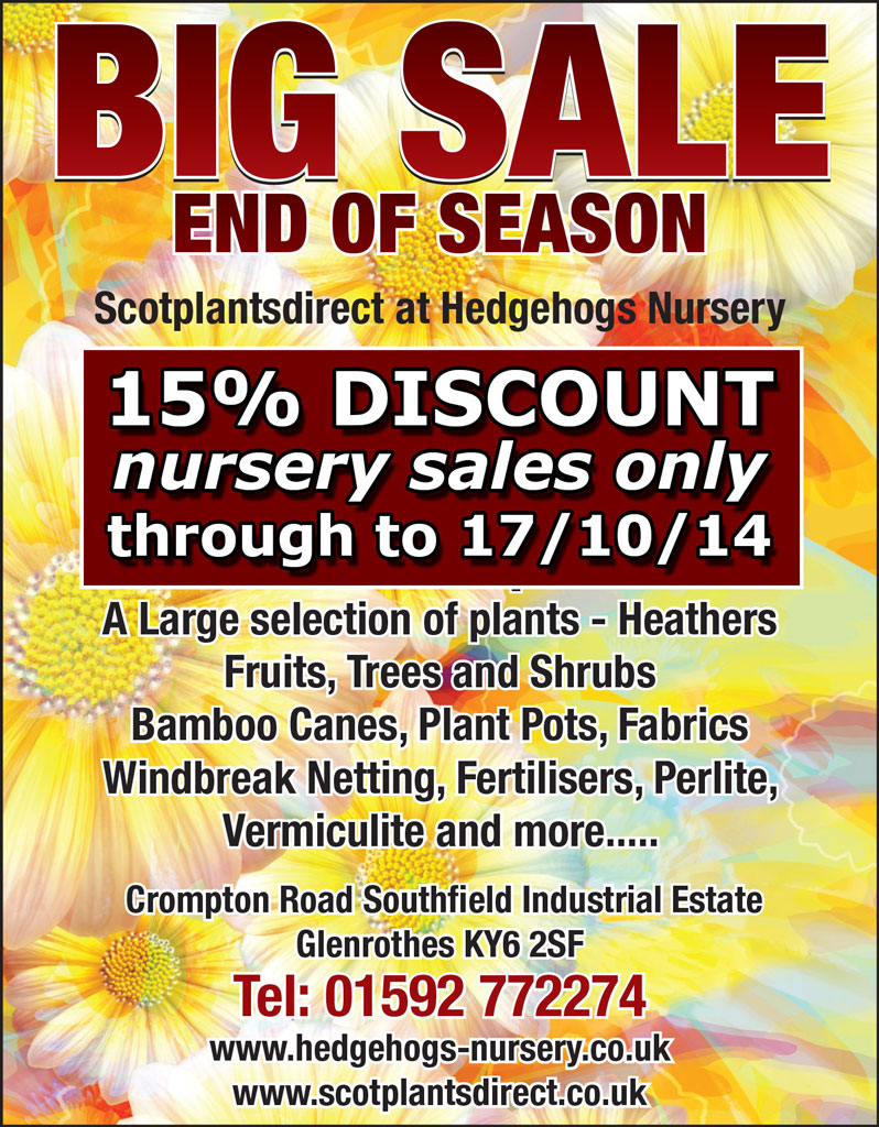 Big End Of Season sale extended to 17/10/14